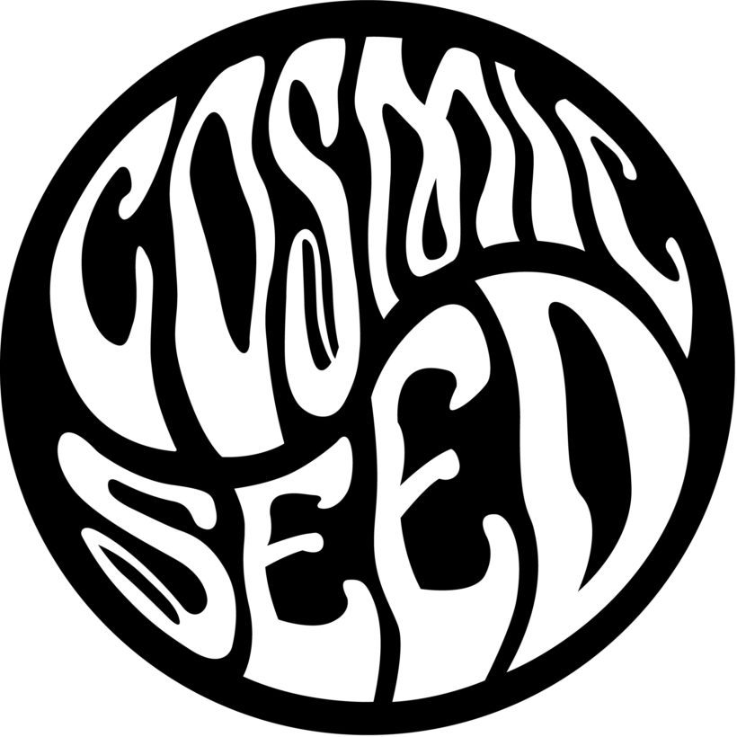 Cosmic Seed