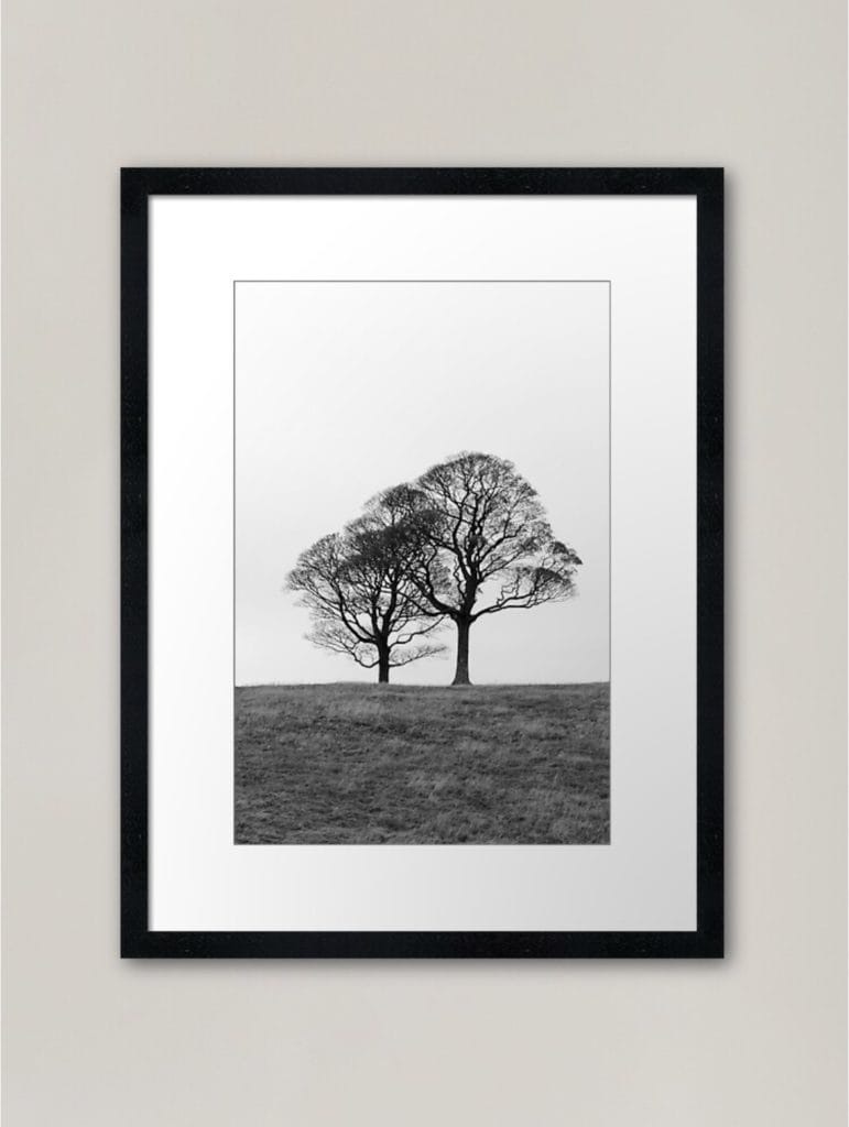 Two Trees - framed photograph » Sunshine Coast Collective Markets